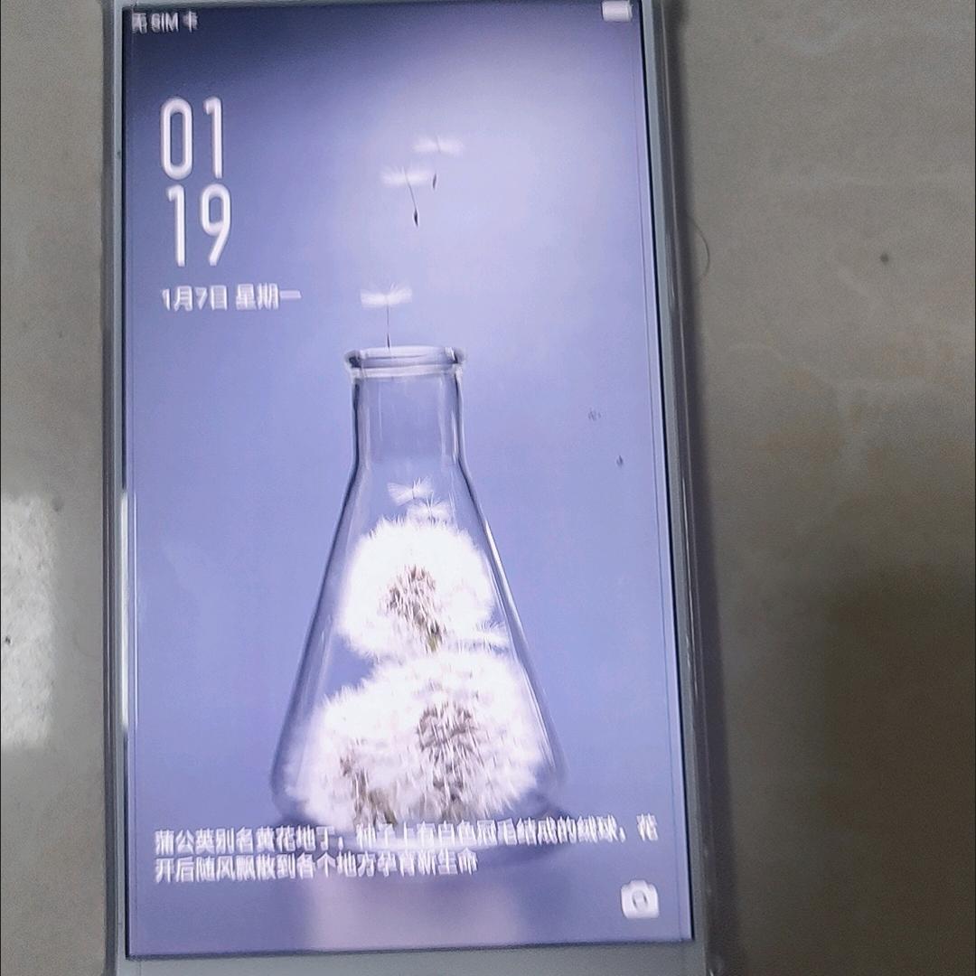 烈酒敬余生