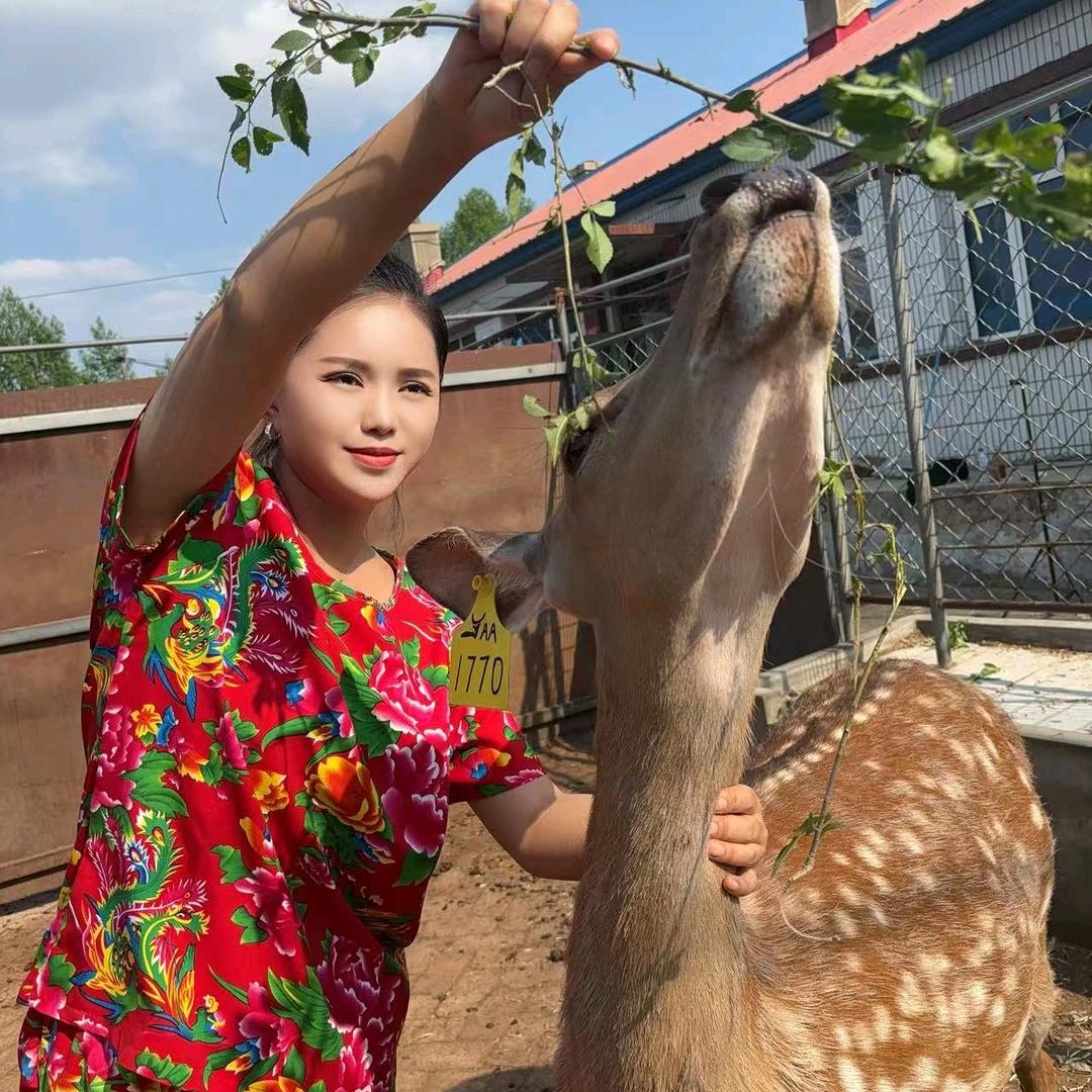 鹿乡小月爱美丽