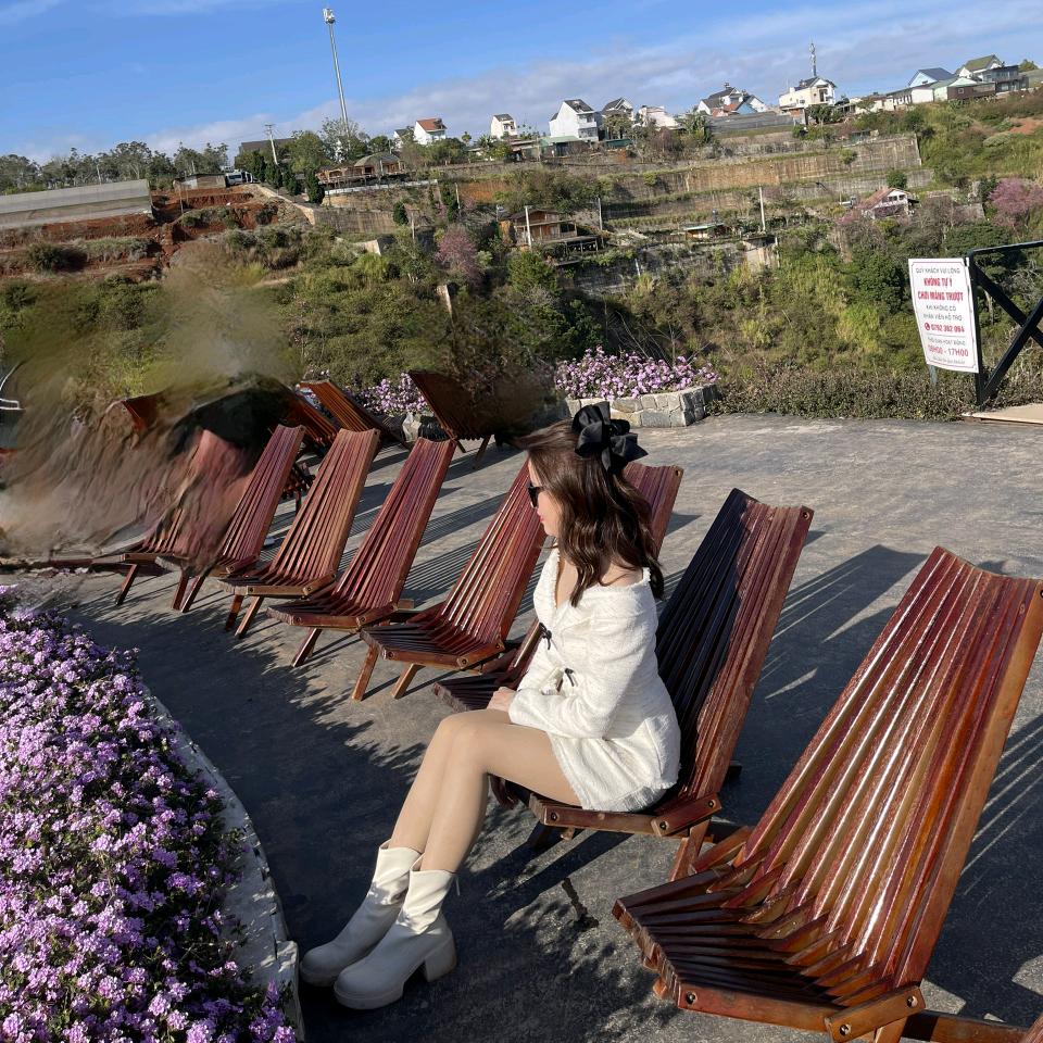 ☘️☘️☘️☘️