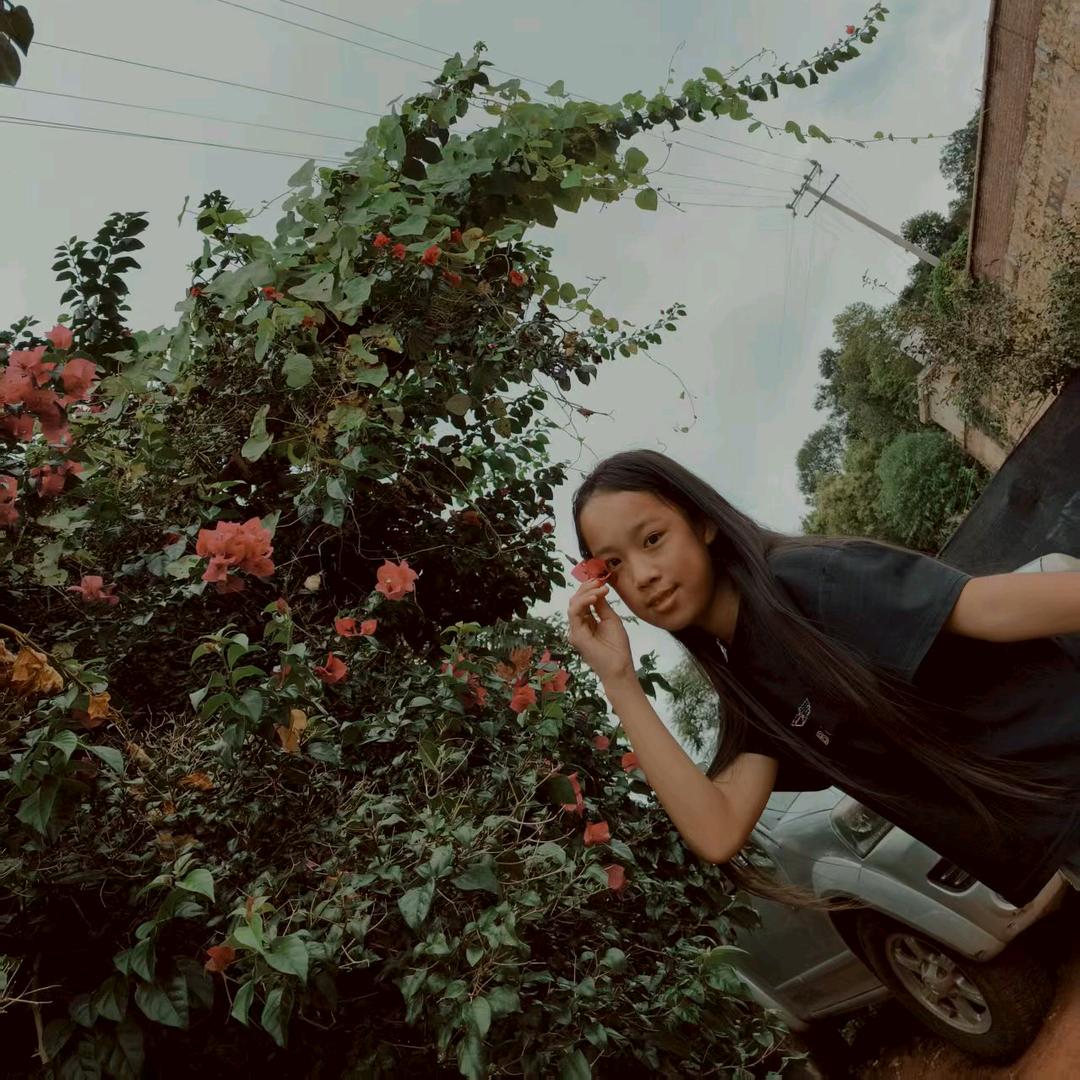 阳阳🌺🌸💞（破110）