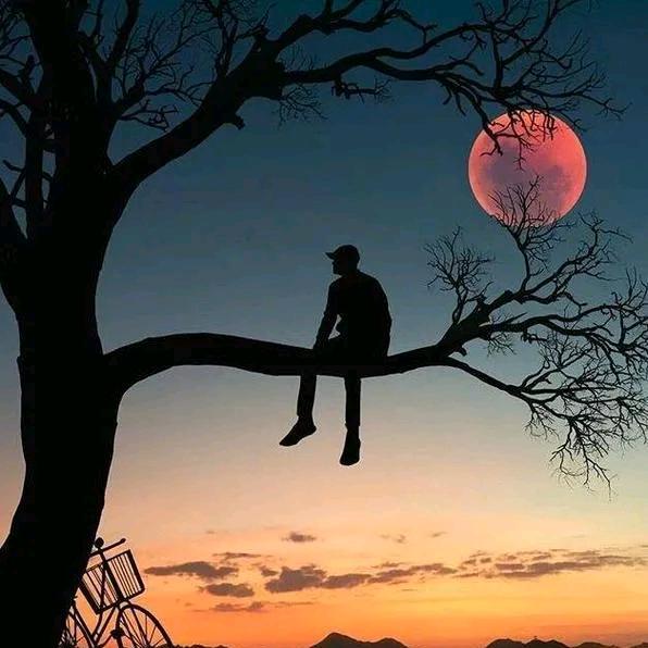 一转身，一辈子