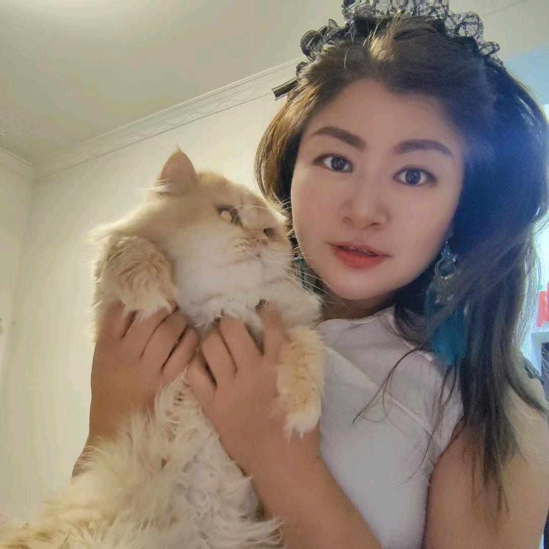 v喵喵来了v