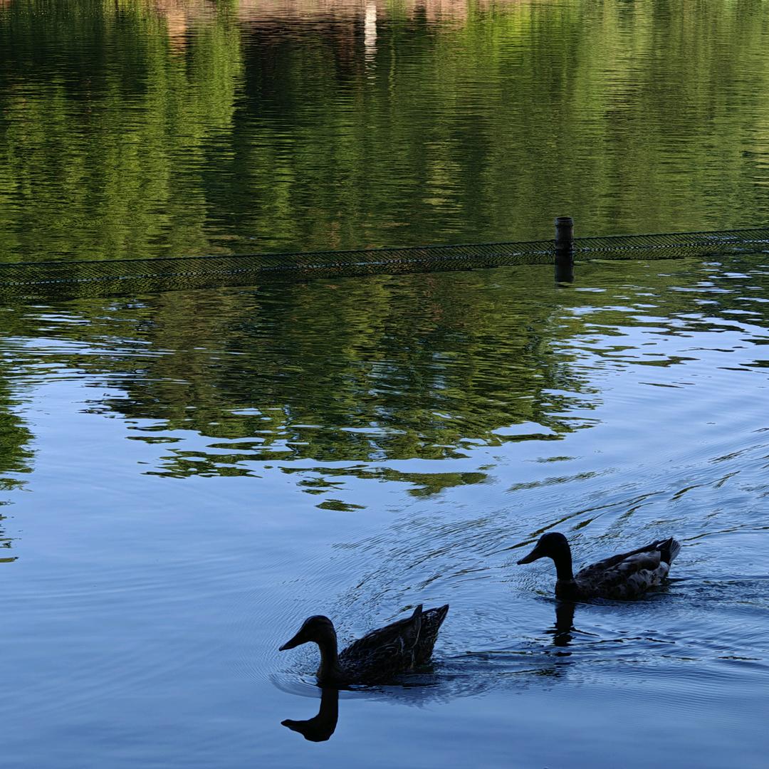 迷人的反派小吕🦹🏻‍♀️