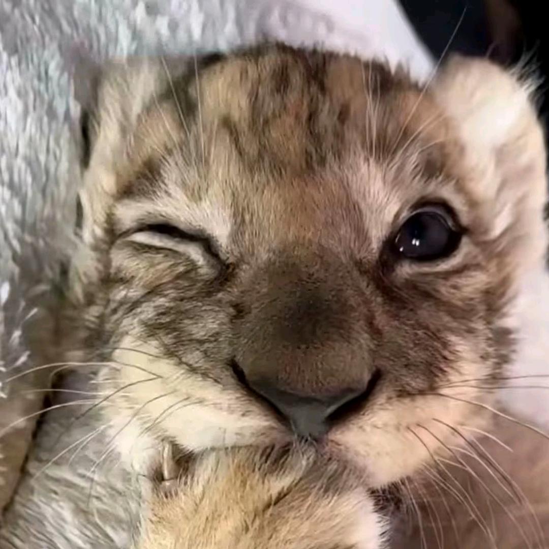 ZZZ.