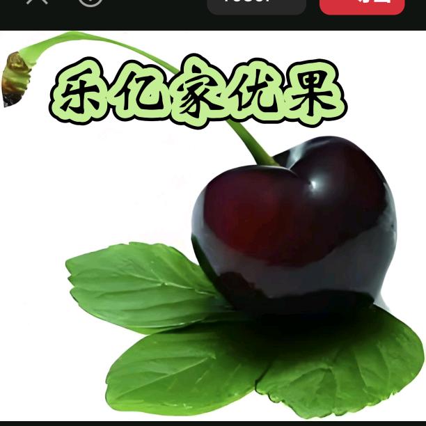 乐亿家优果