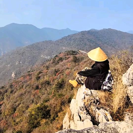 田柒