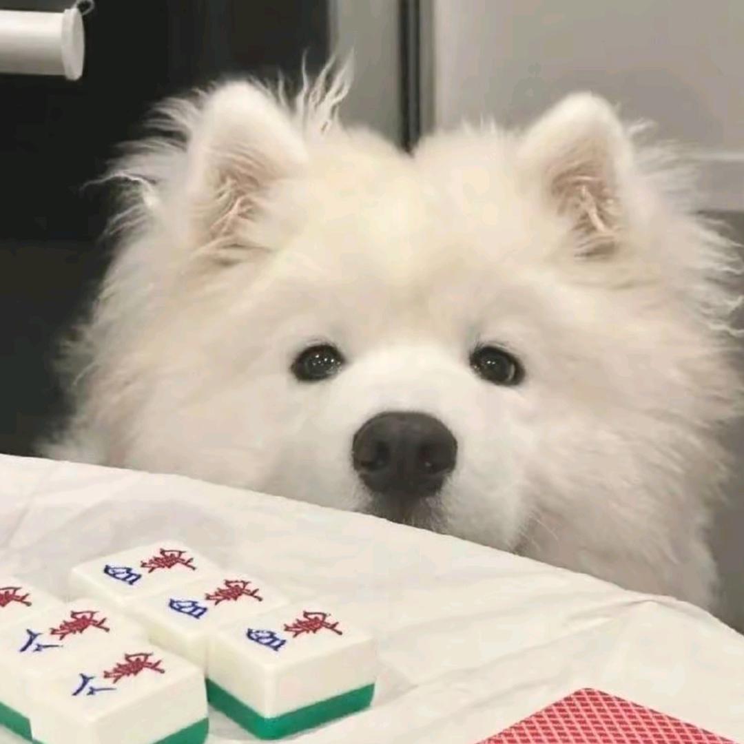 庆清