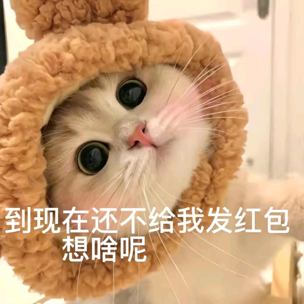 多财多亿的小雪团子✨