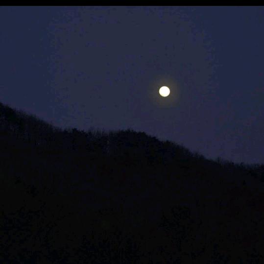 顺其自然