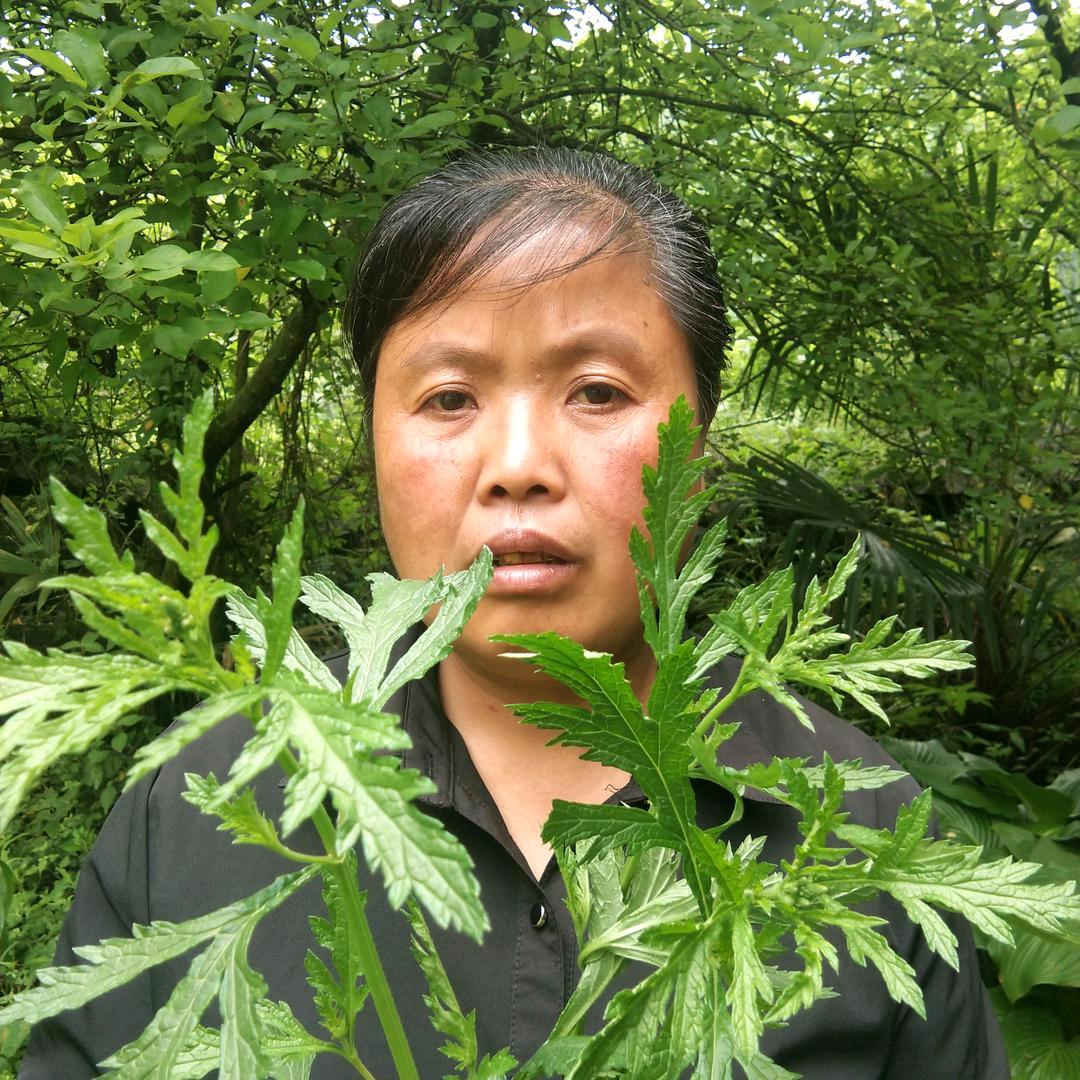 陈四妹1