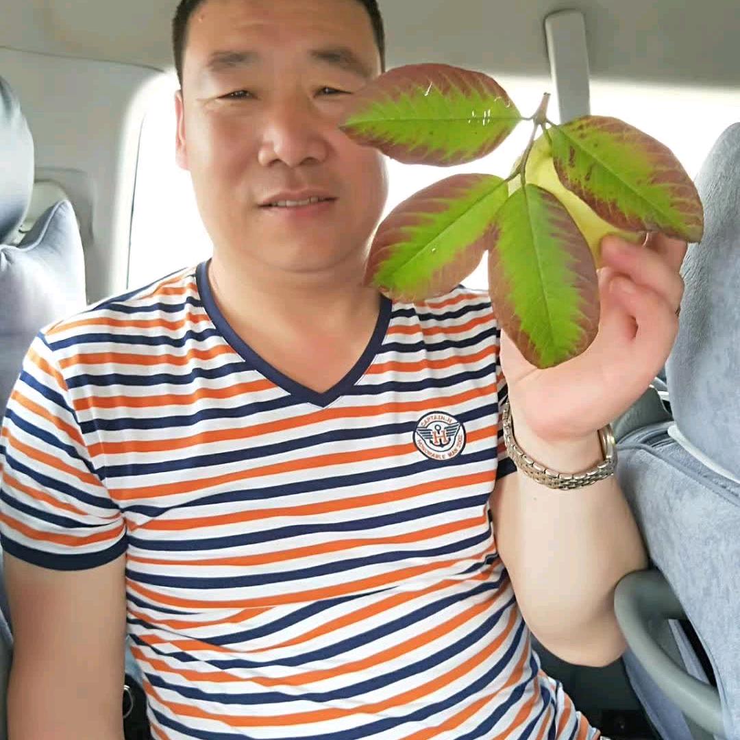 舍得