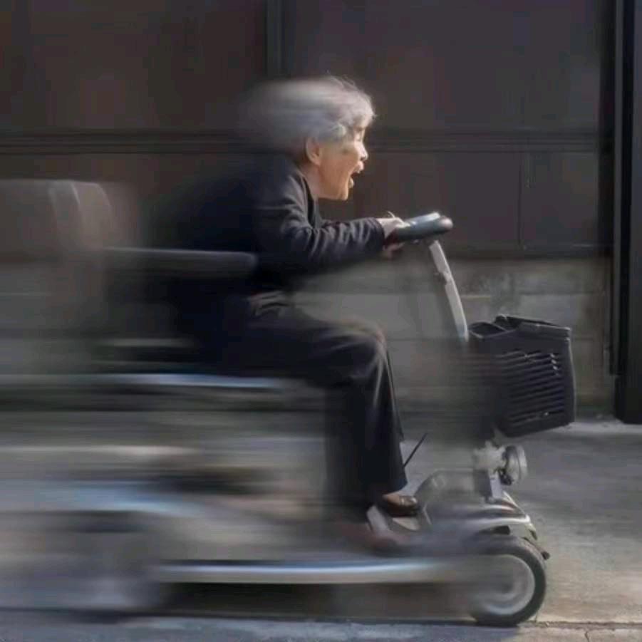 年 轮