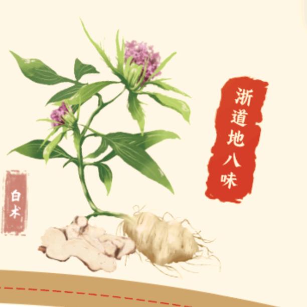 浙江台州白术种植基地