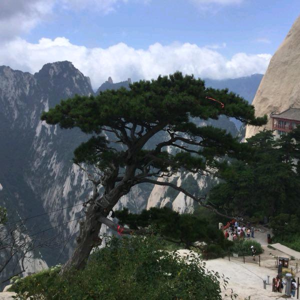 一叶知秋🌈🌈🌈