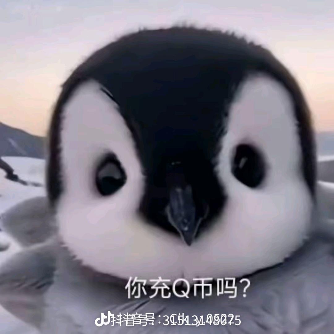 浪里个浪