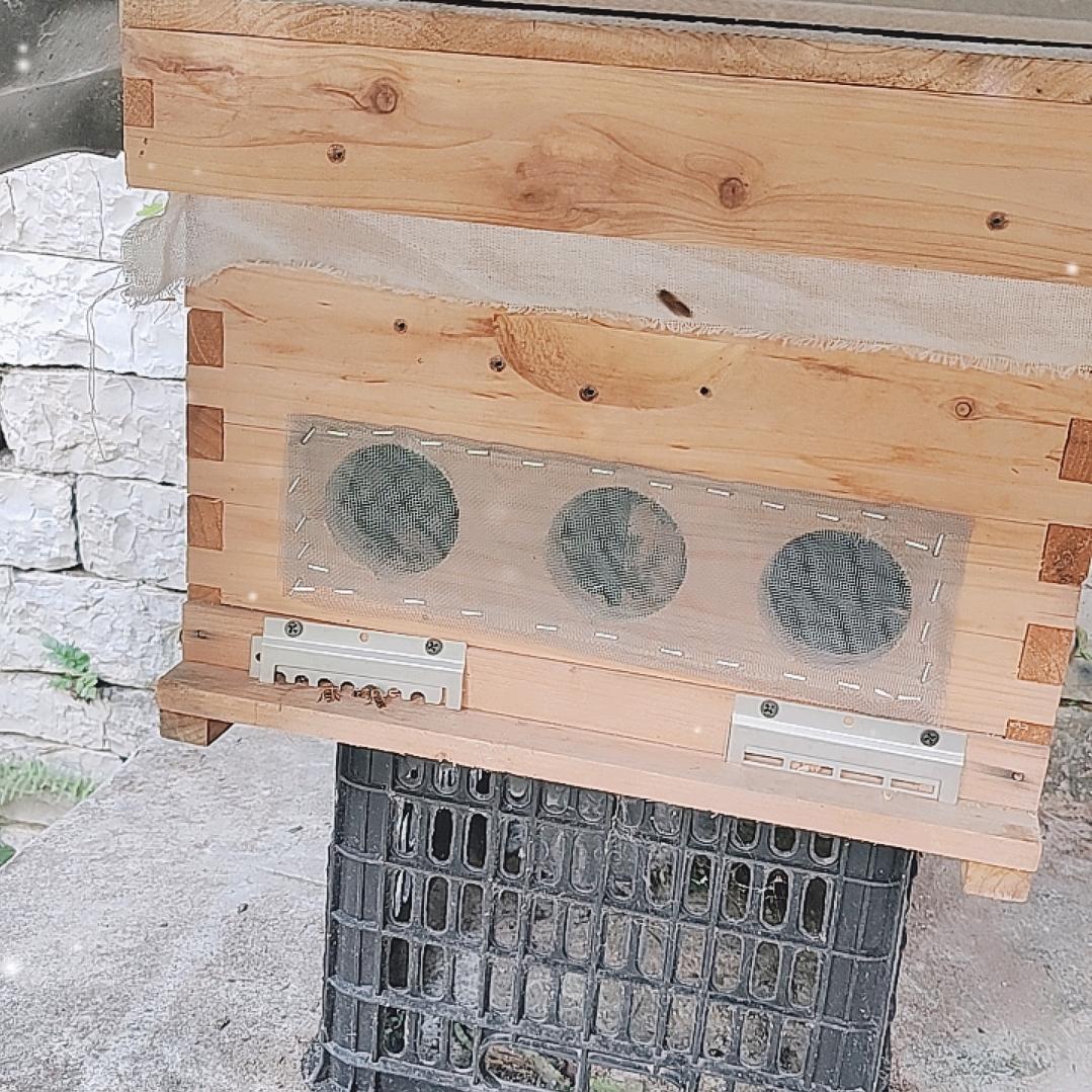 养蜂人真的不容易