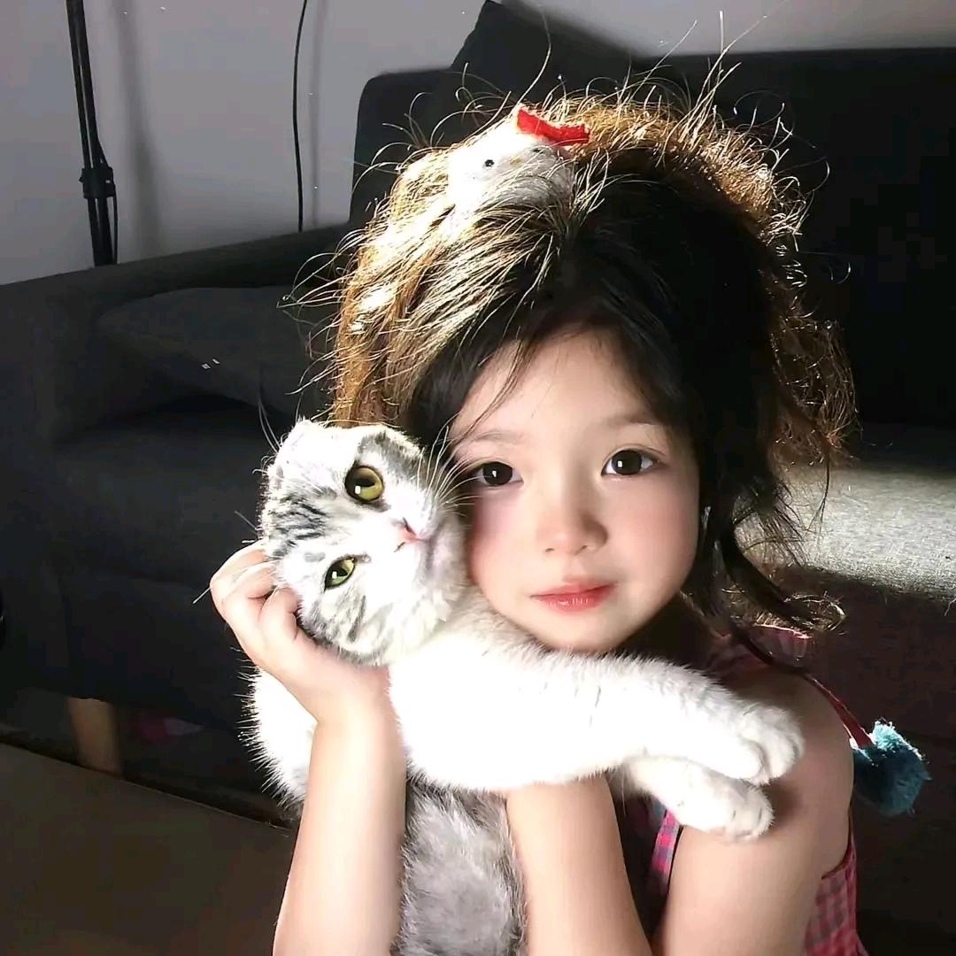 一颗大白菜
