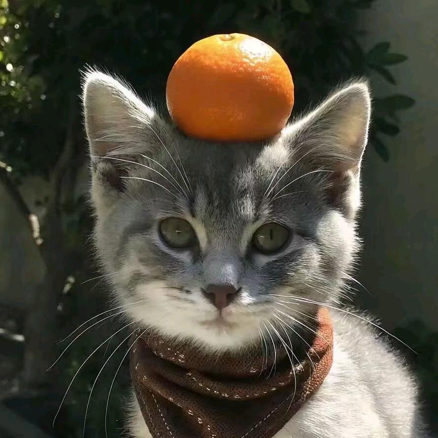 。。。。。。。。。