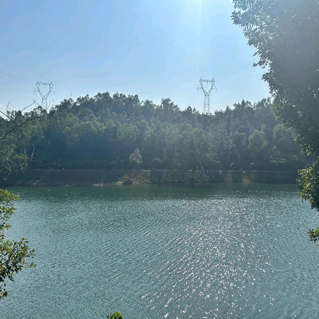 她似梦，终归醒