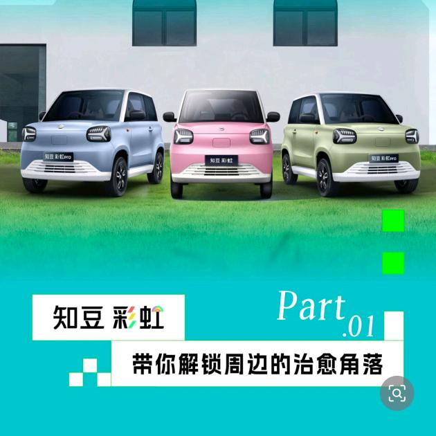 六盘水知豆汽车郭师