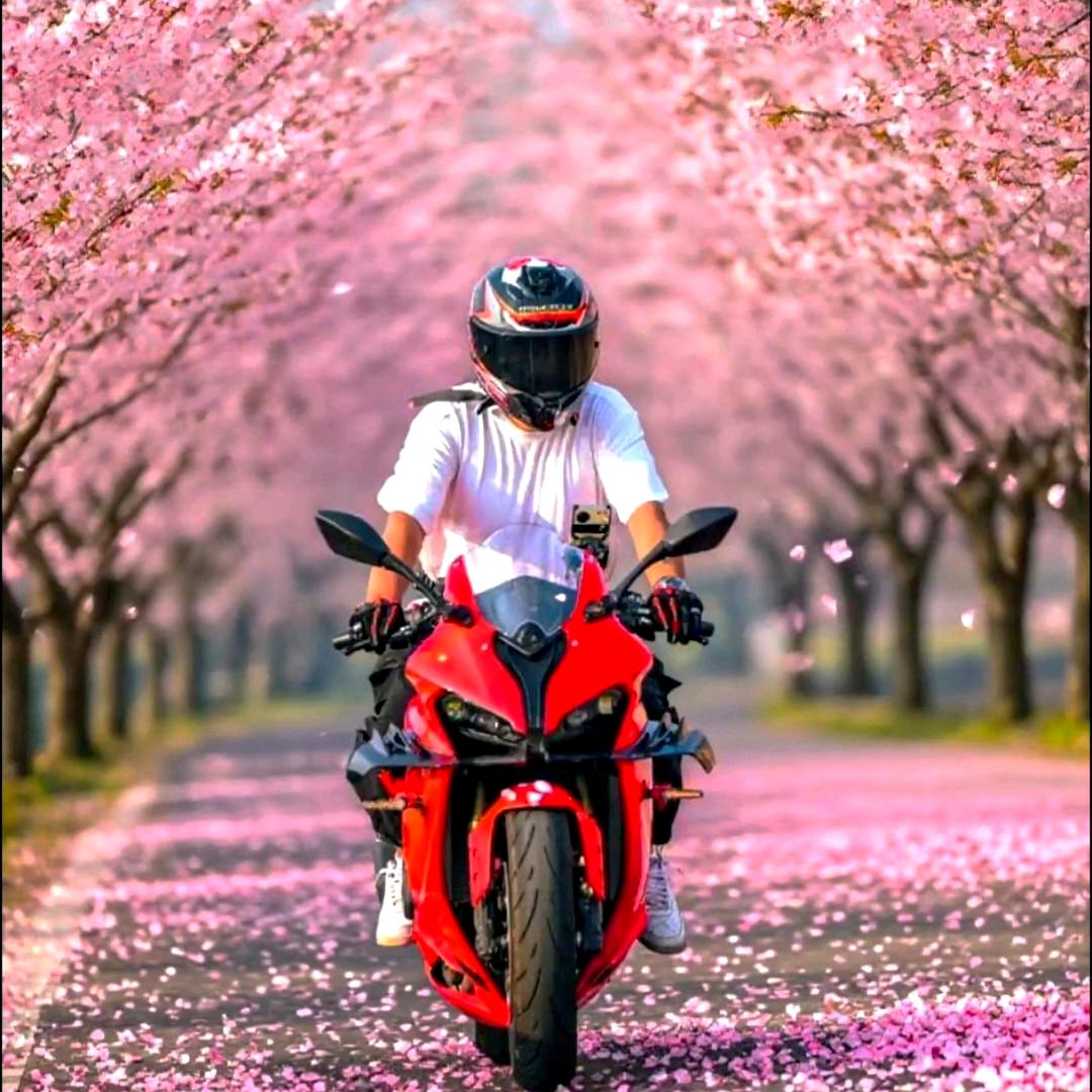 游鋲
