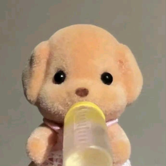 爱吃冷串儿的琪宝