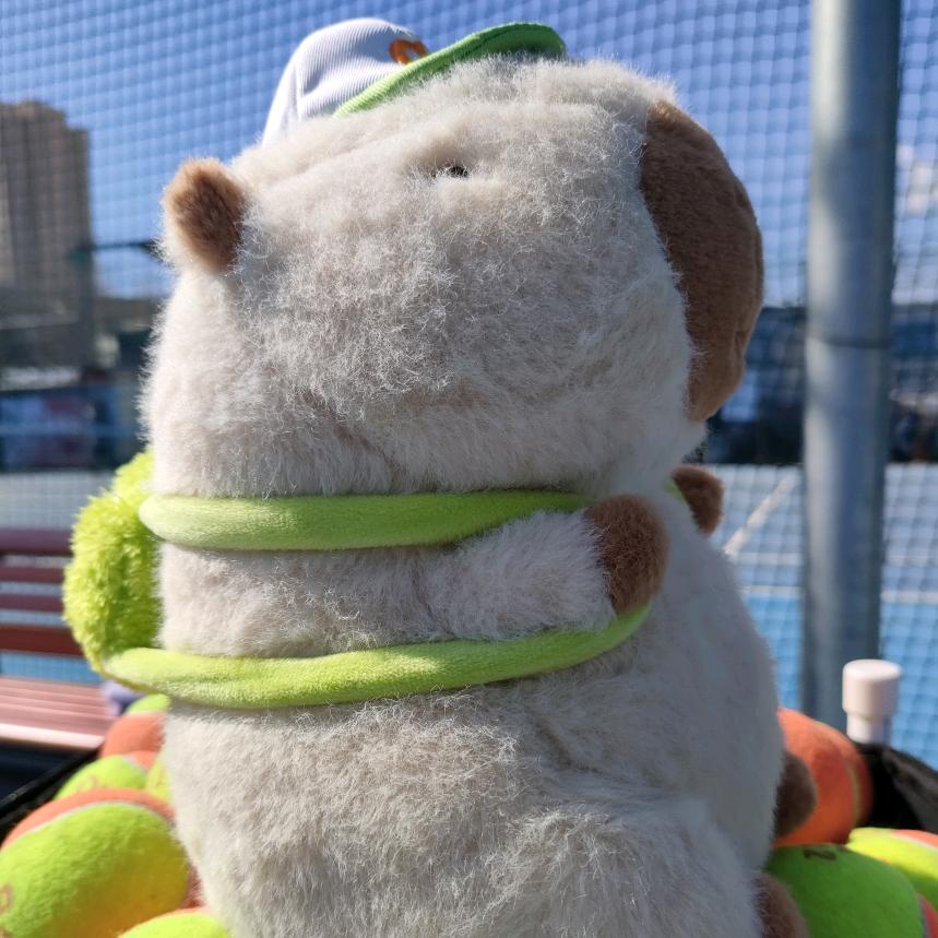 炎动力网球研习社