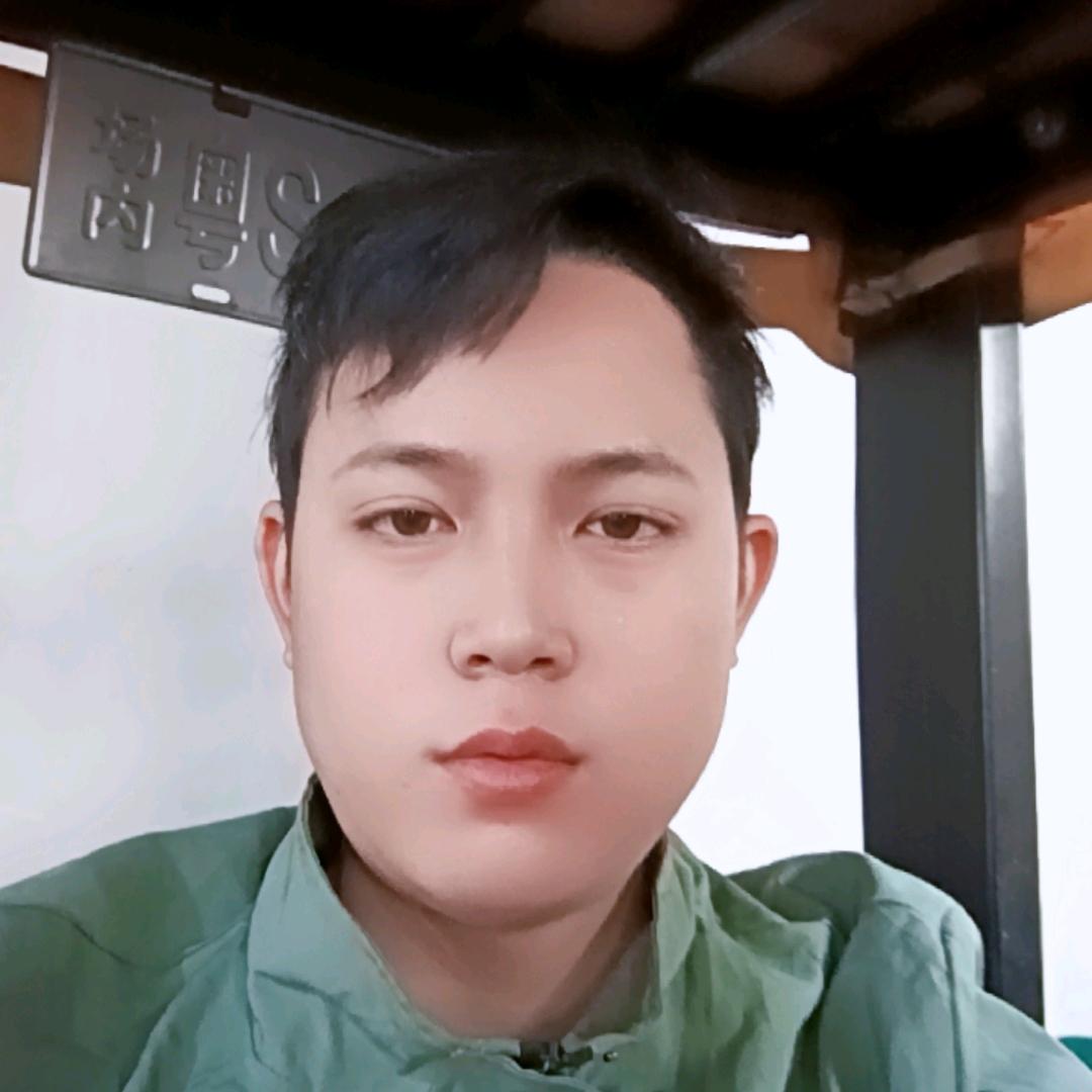 戴翅膀的梦