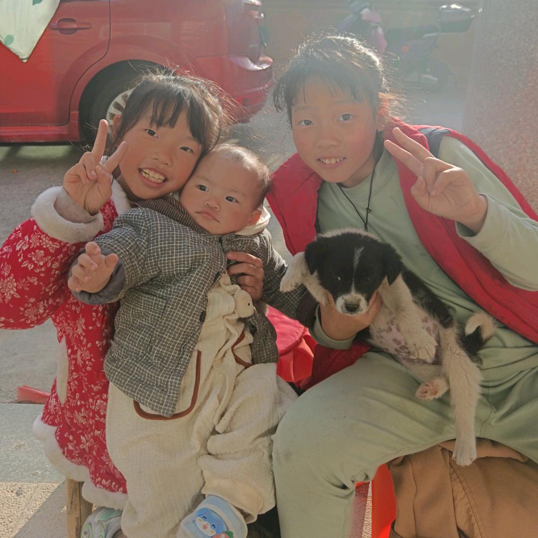 小猪
