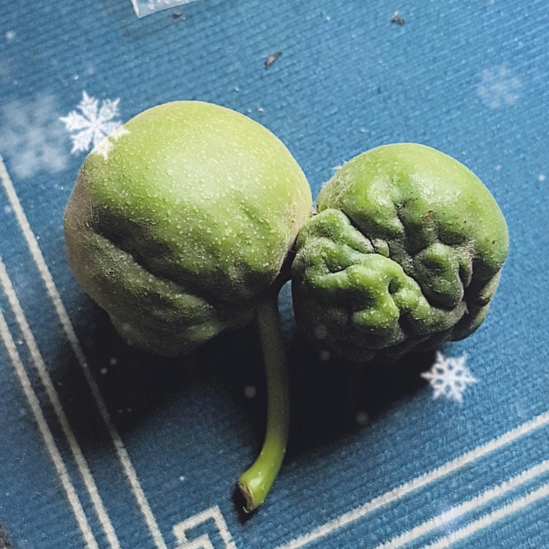 核电站