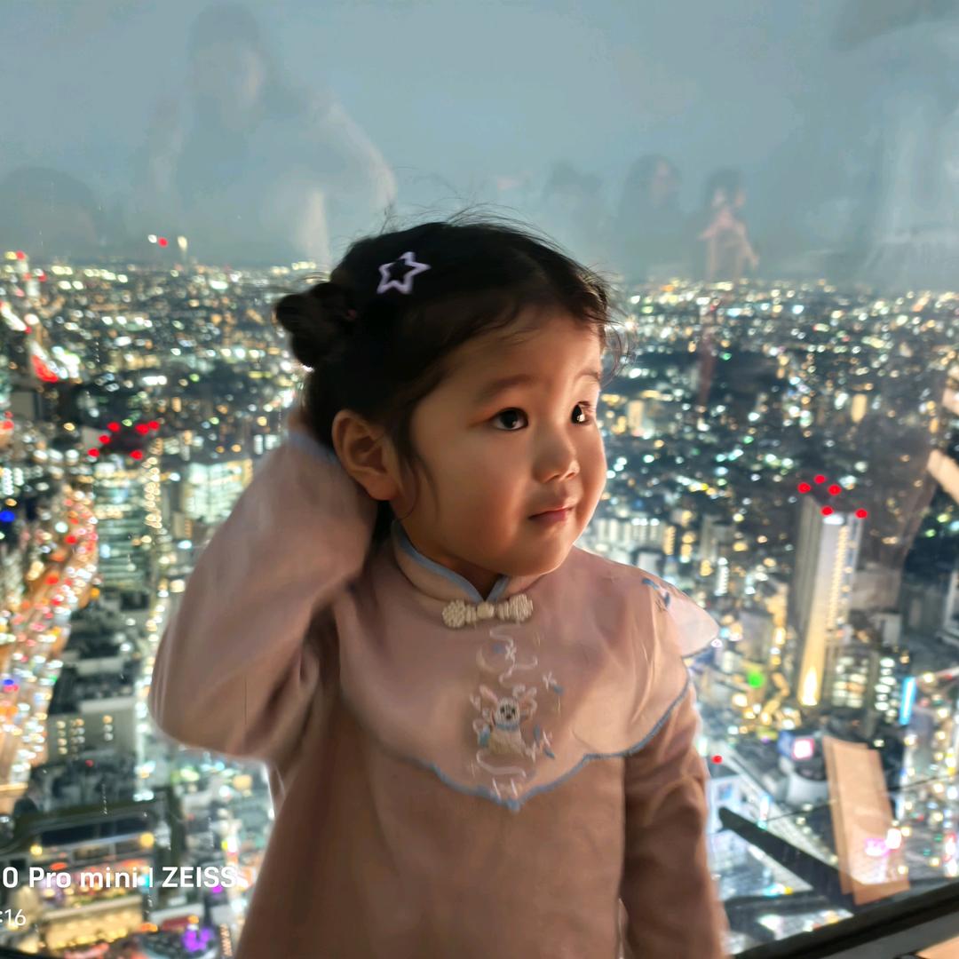 壹天到晚游泳的魚啊