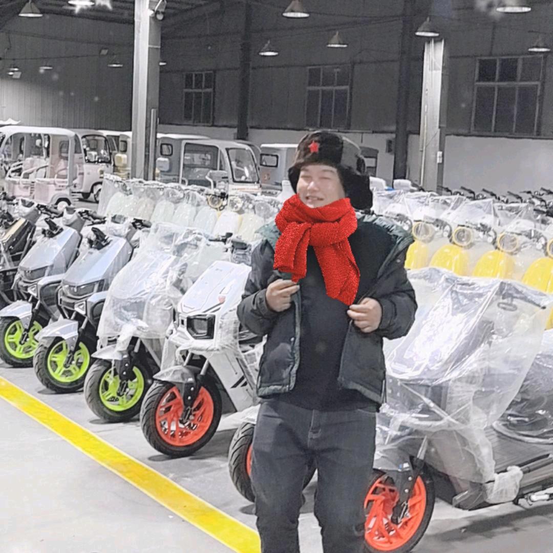 电动车工厂，飞弟