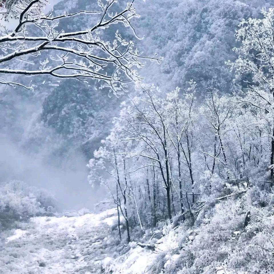 ༺҈云҈中҈月҈༻҈