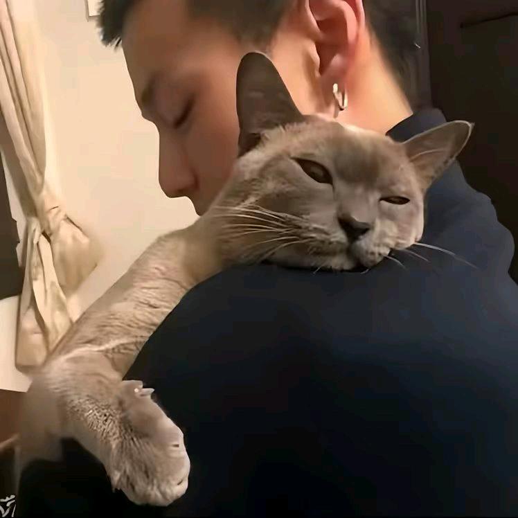 昊、
