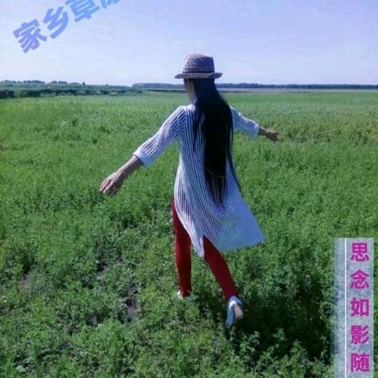 张颖