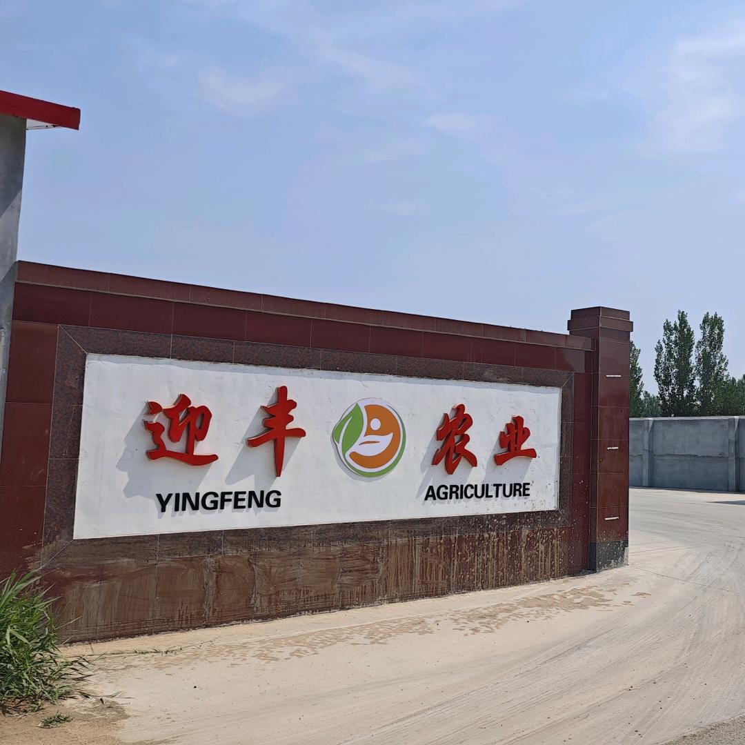 迎丰农业科技发展有限公司