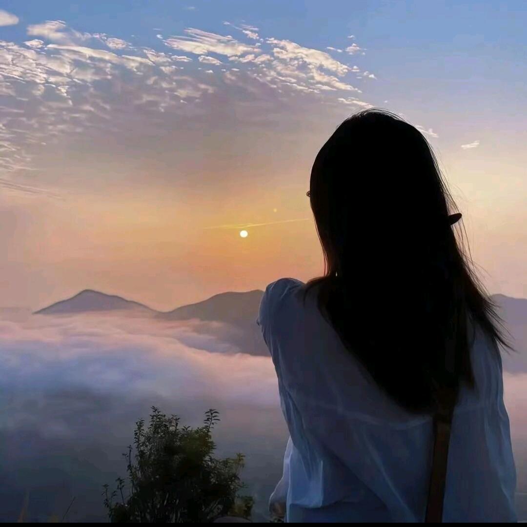 是李呀💭