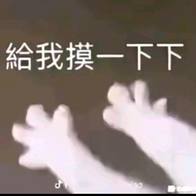 色懒突击