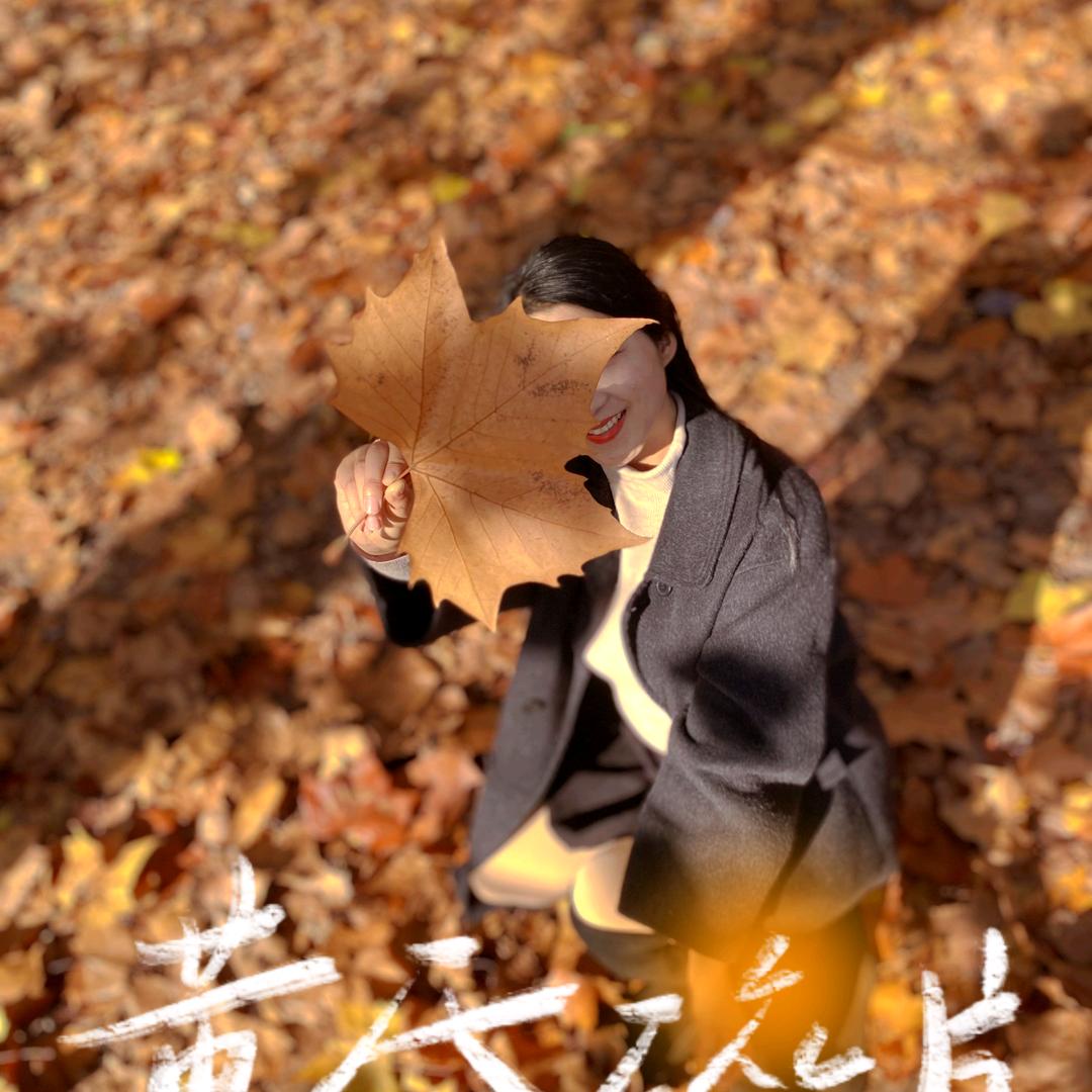 素素探房