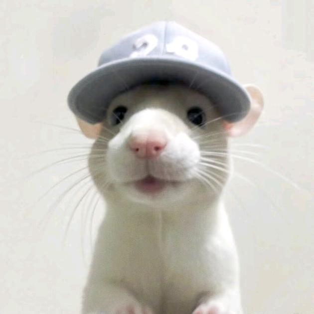 jnjnn