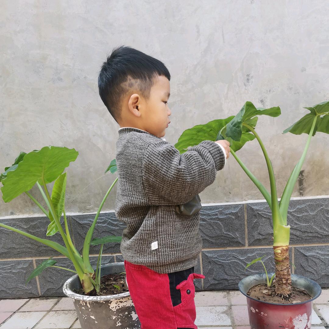 任绍菲🀄️