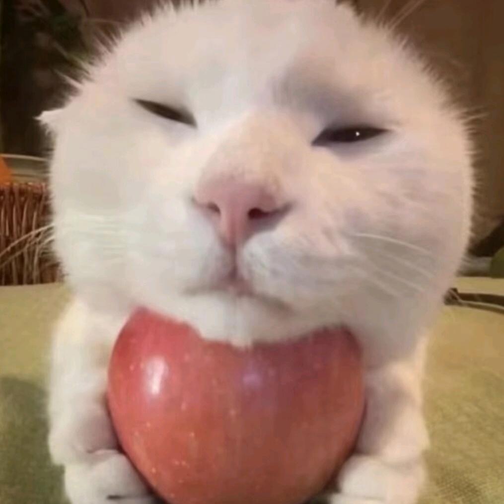 鱼鱼鱼鱼子酱