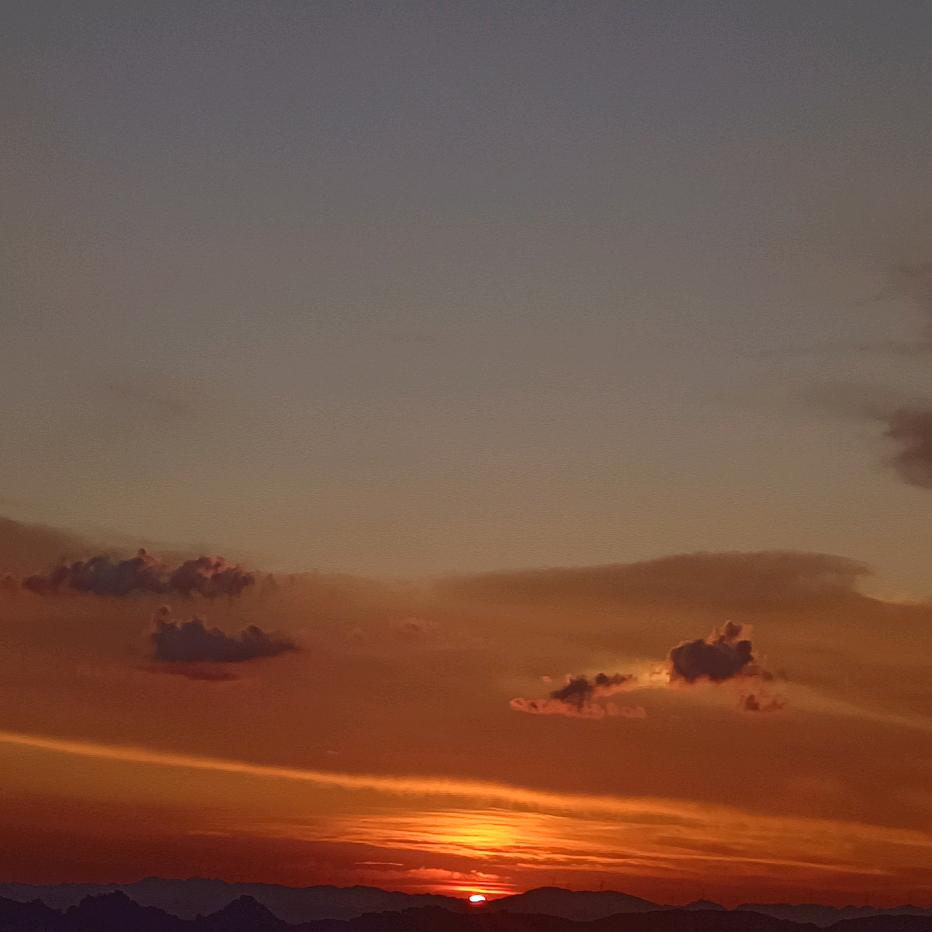 权心权意全天下