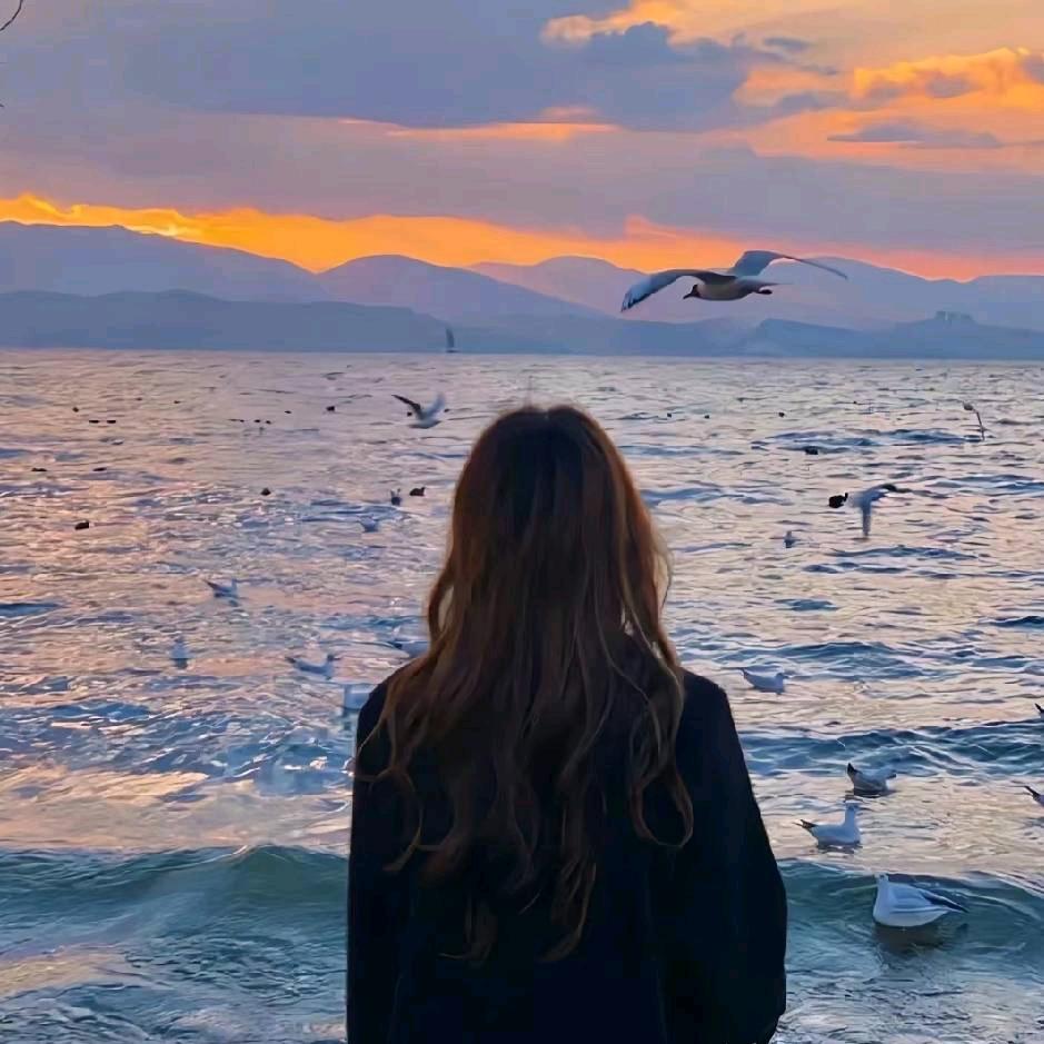 🐳.