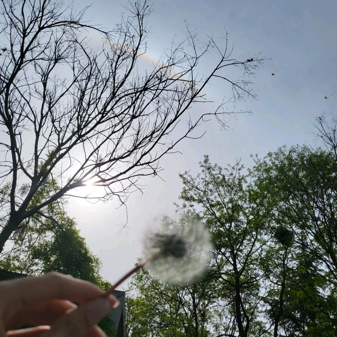 竹鹿（我真幸运版）