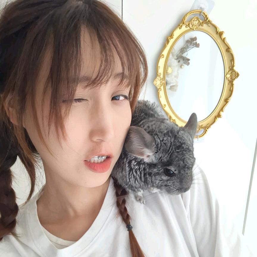 大圆脸🧋喵🐱