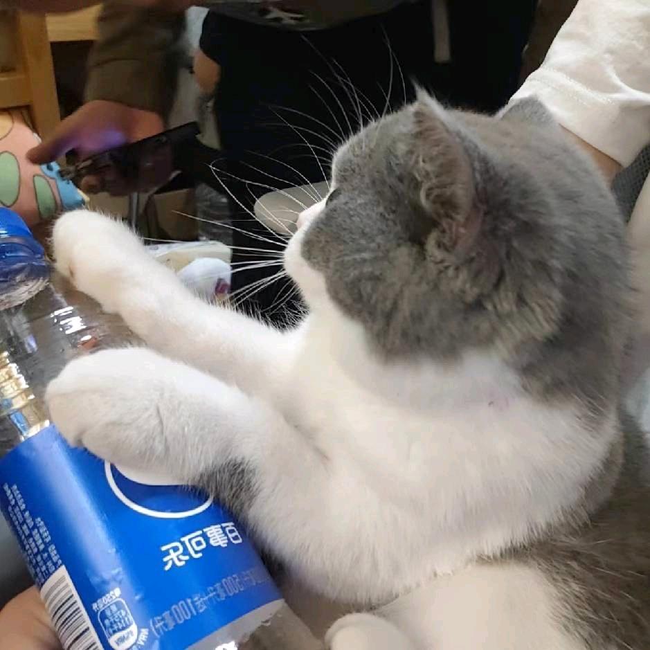 没事就爱送点儿小外卖