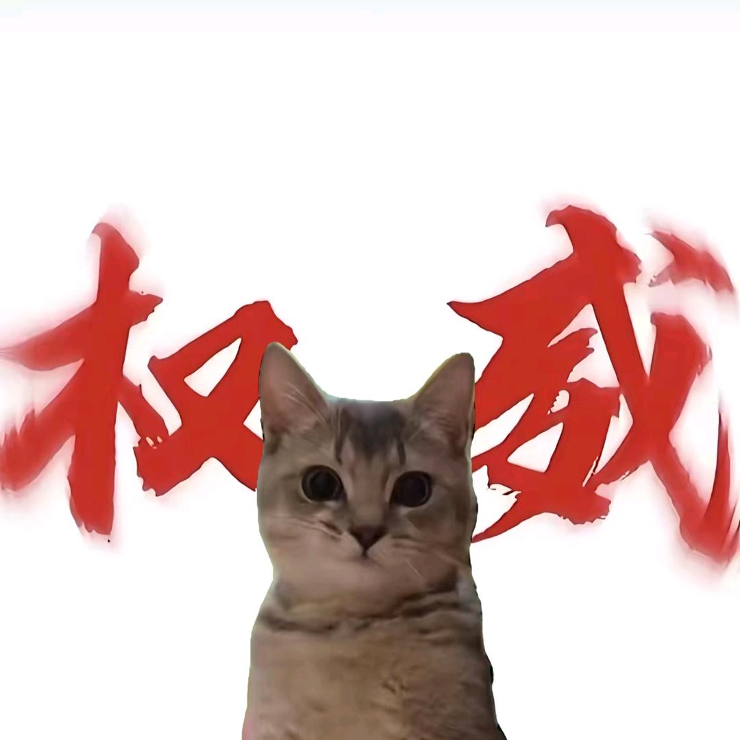 王好好