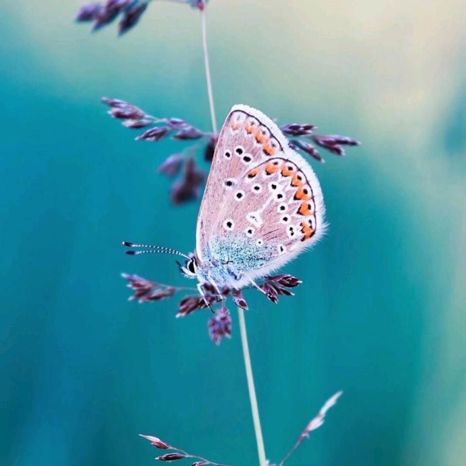 一人一车行遍河南