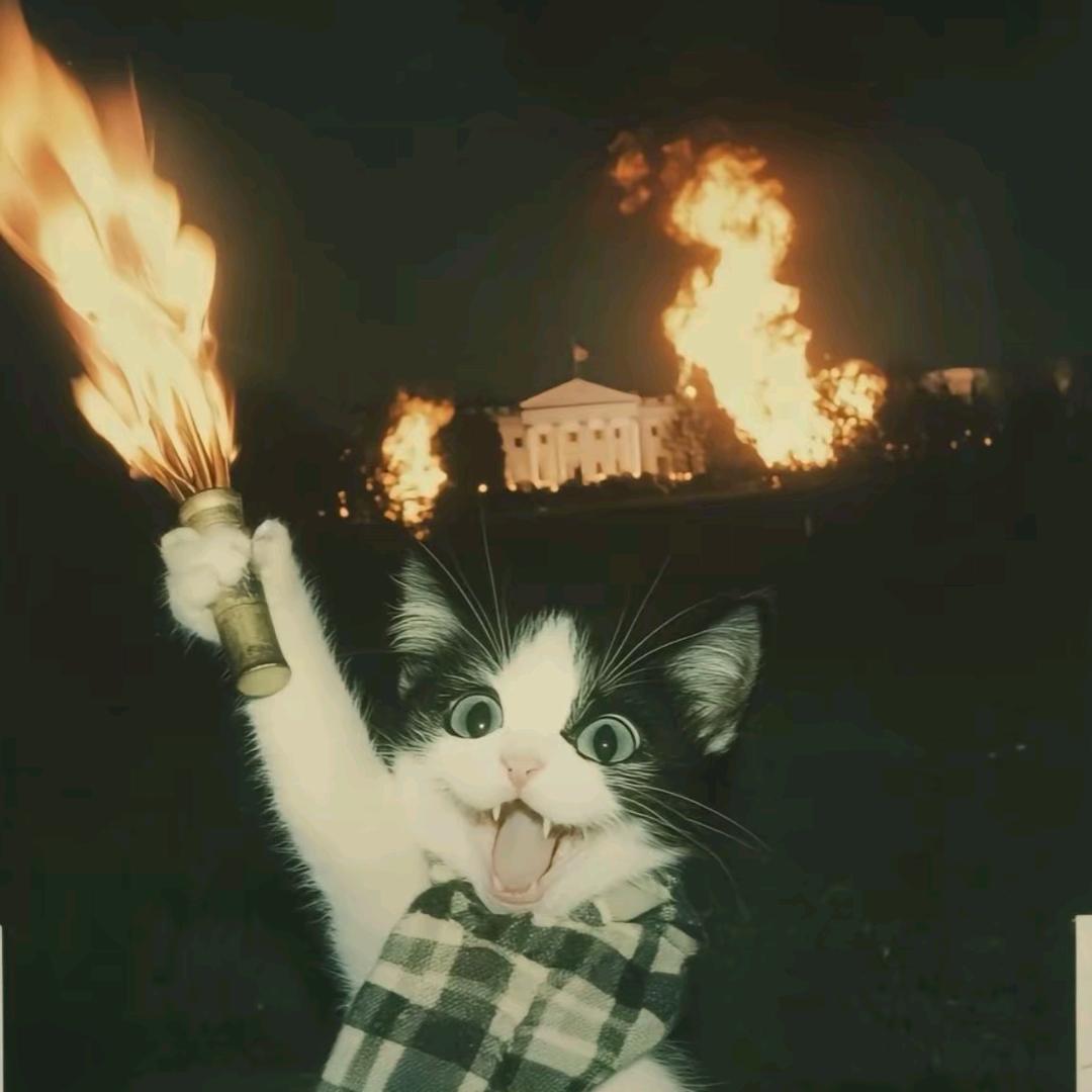 夢情人